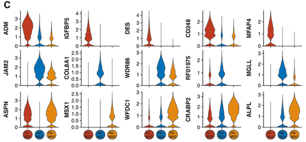 圖2單細(xì)胞RNA測序(sc?RNAseq)數(shù)據(jù)揭示了馬間充質(zhì)基質(zhì)細(xì)胞(MSCs)的源間變異