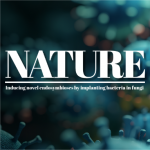 Nature | 百邁客生物助力蘇黎世聯(lián)邦理工學院在內(nèi)共生研究中取得重大突破！